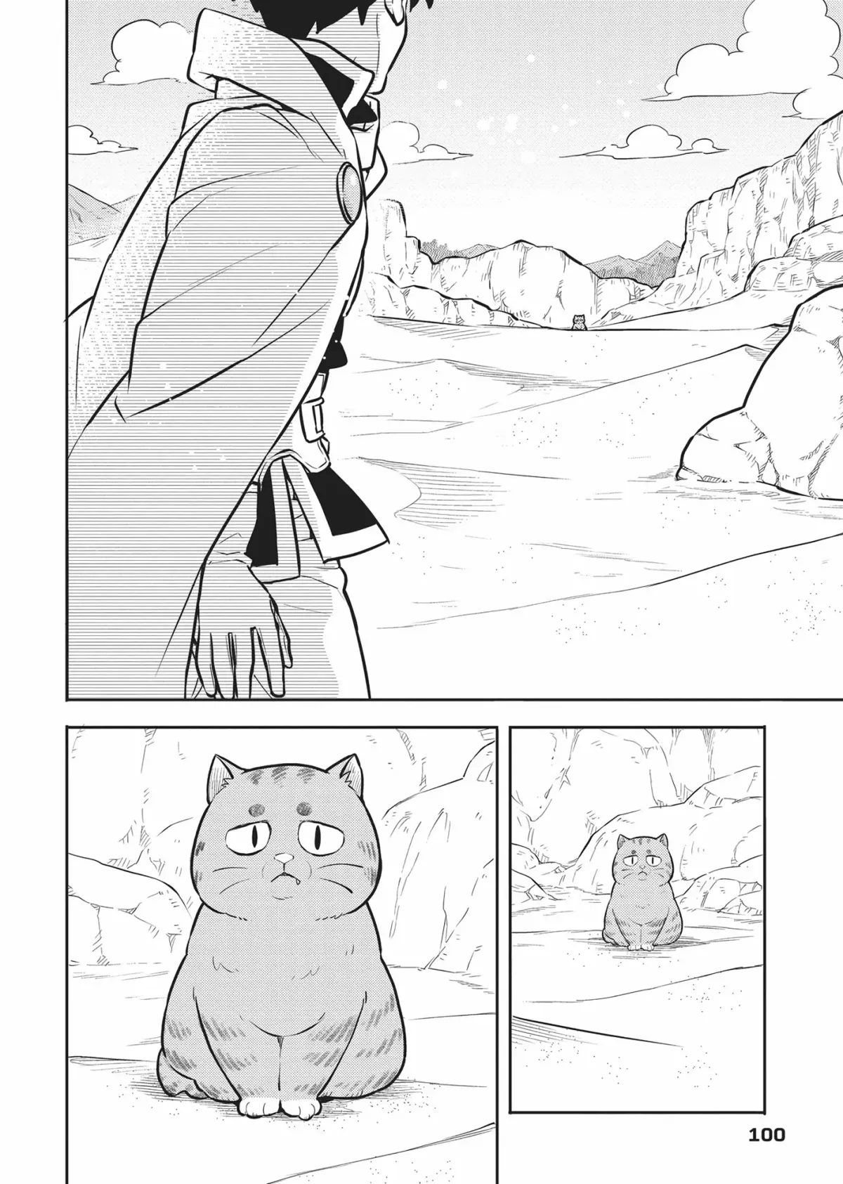 Cat on the Hero
