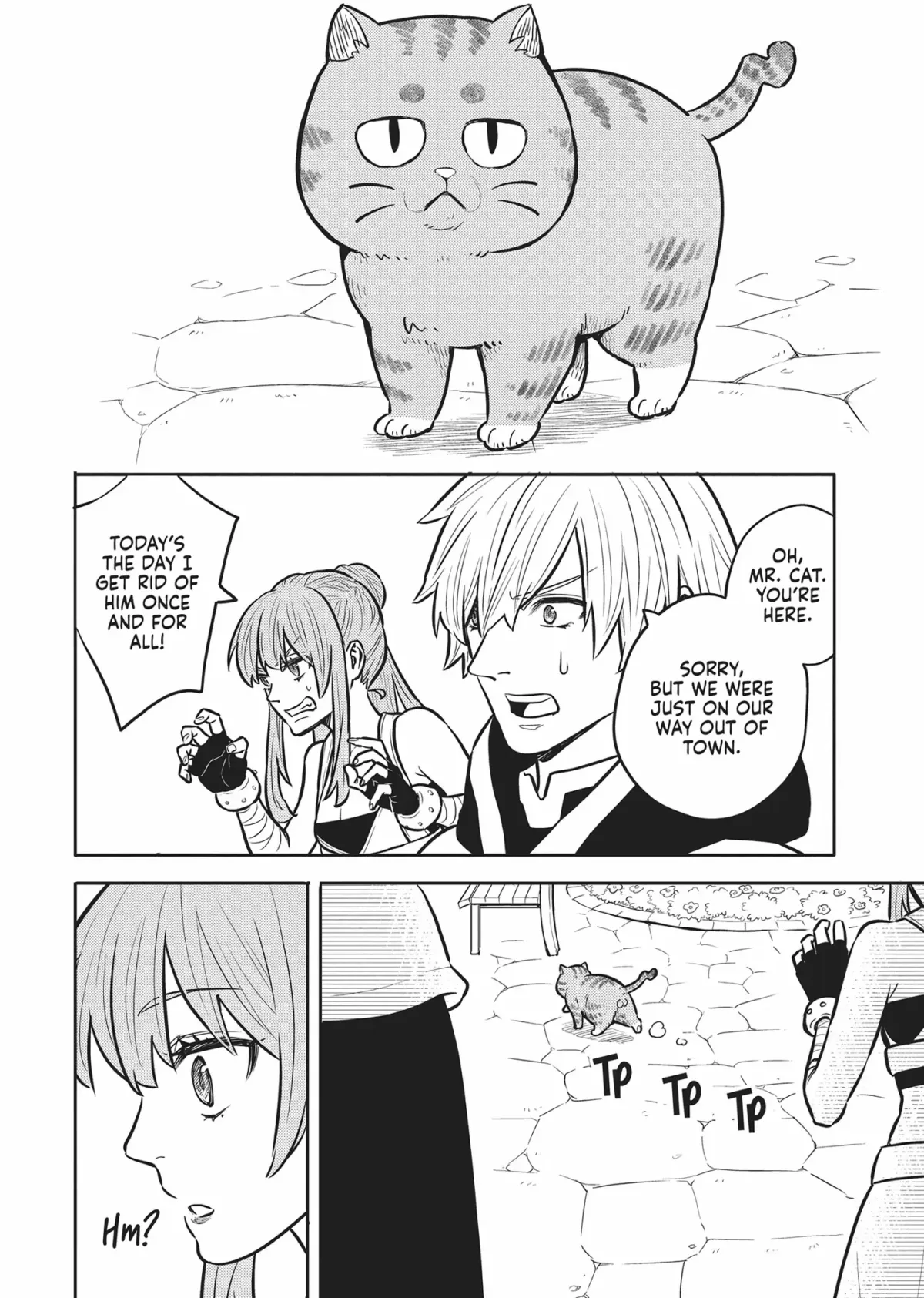 Cat on the Hero