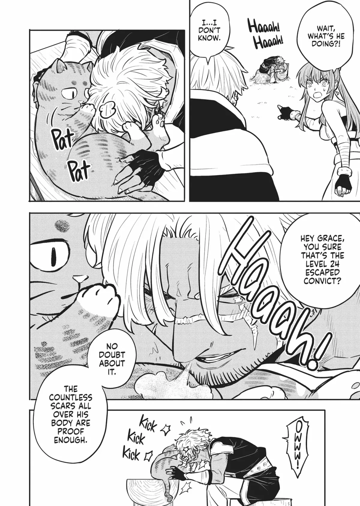 Cat on the Hero