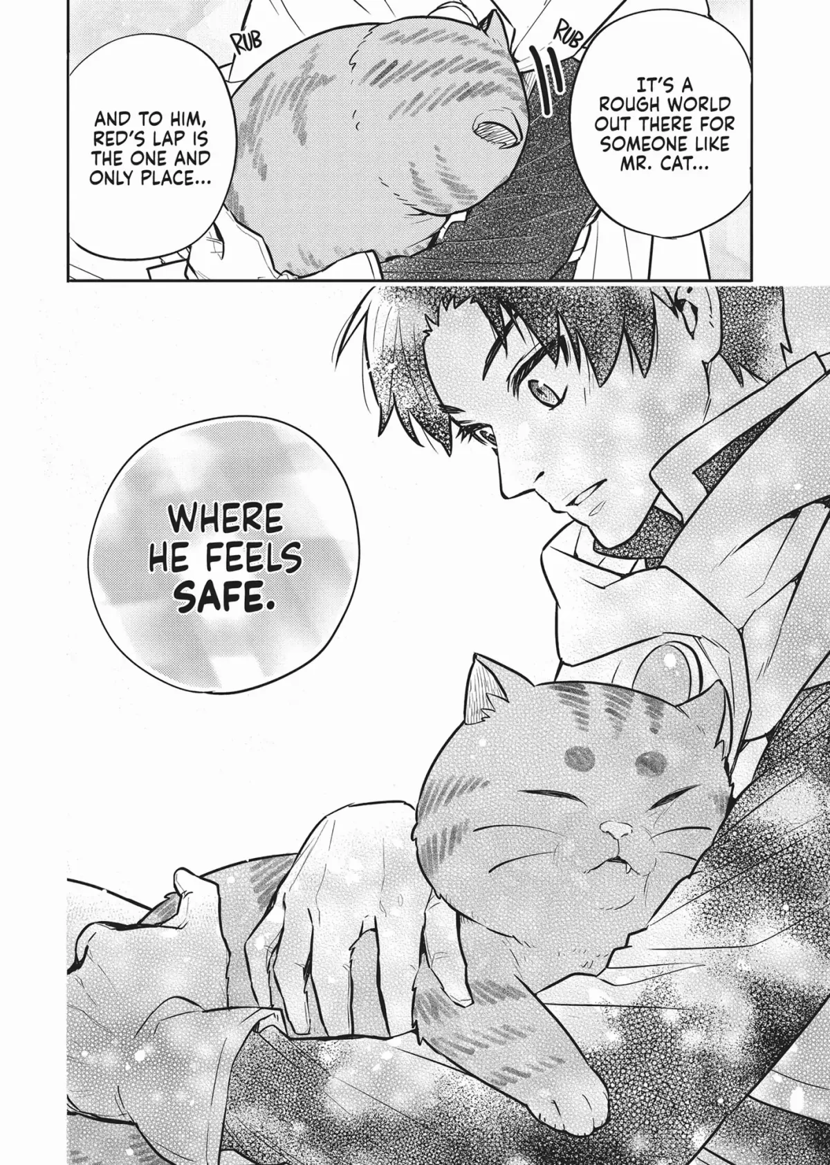 Cat on the Hero