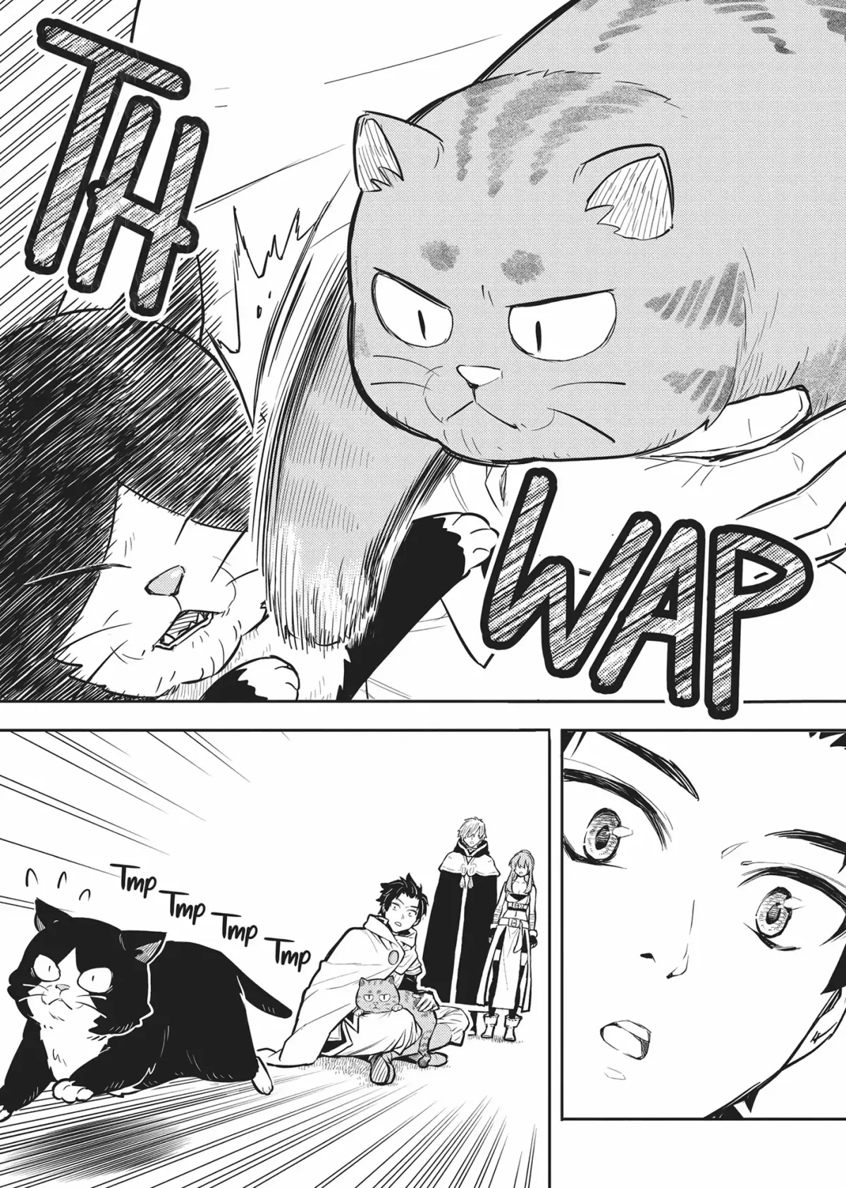 Cat on the Hero