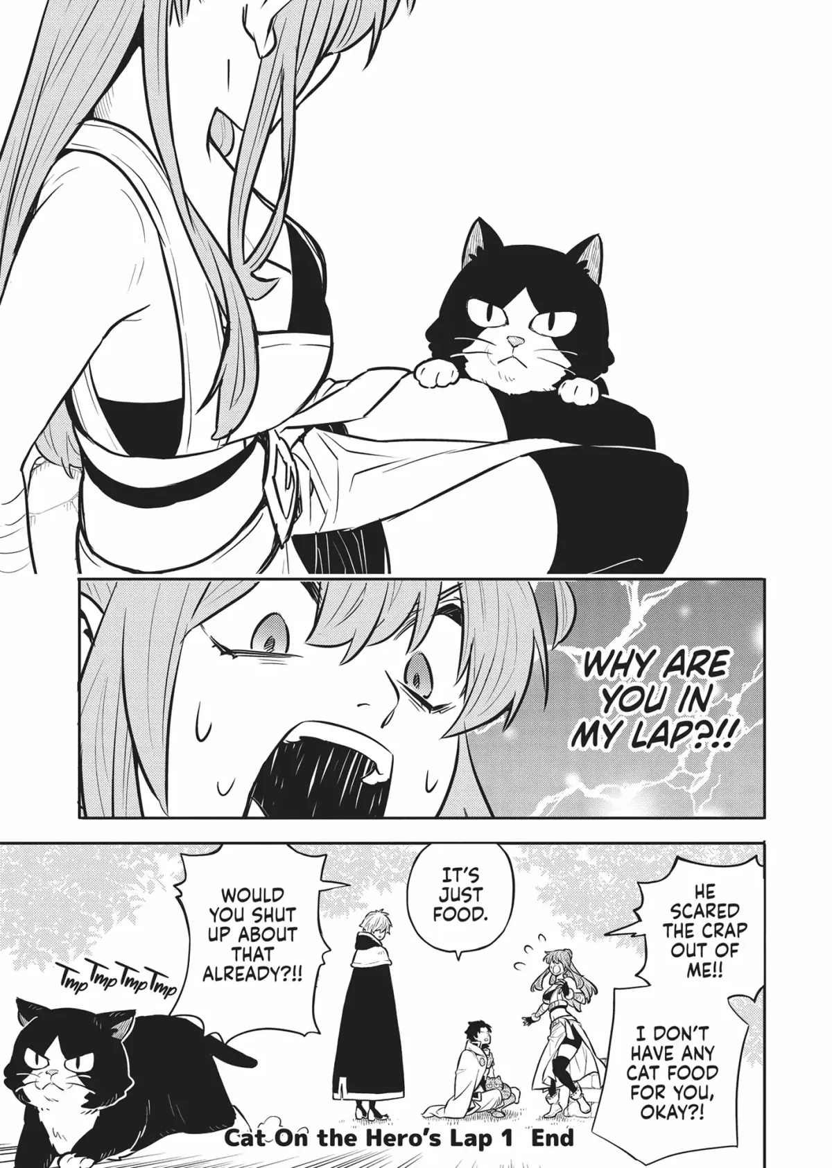 Cat on the Hero