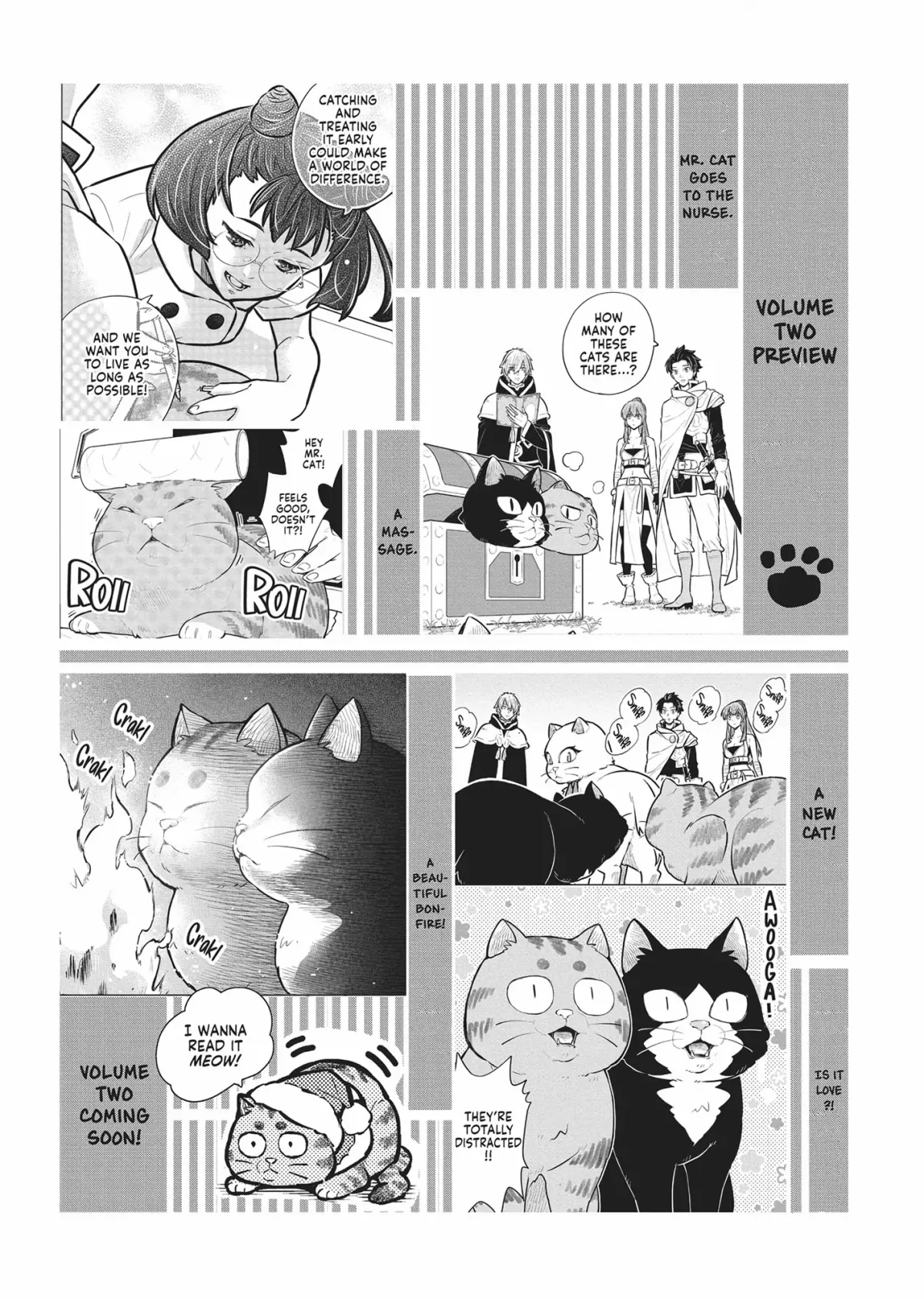 Cat on the Hero