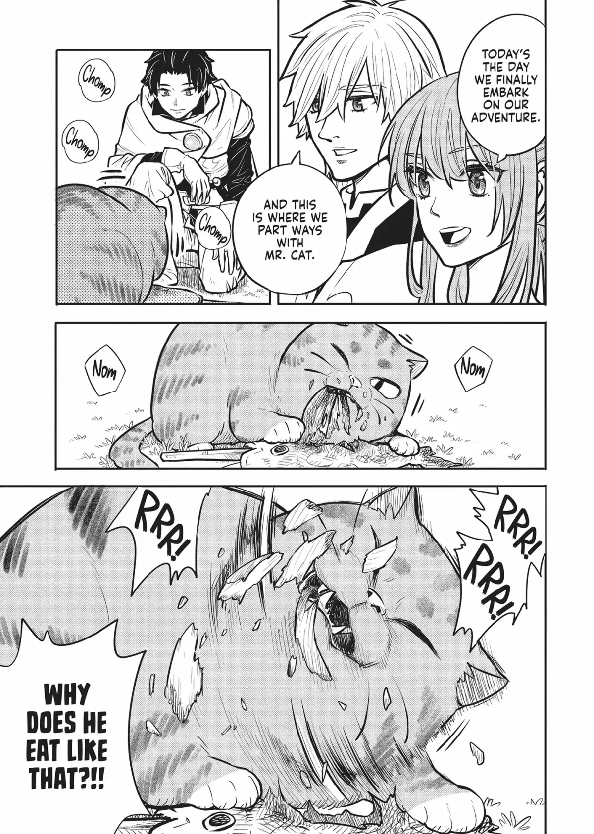 Cat on the Hero