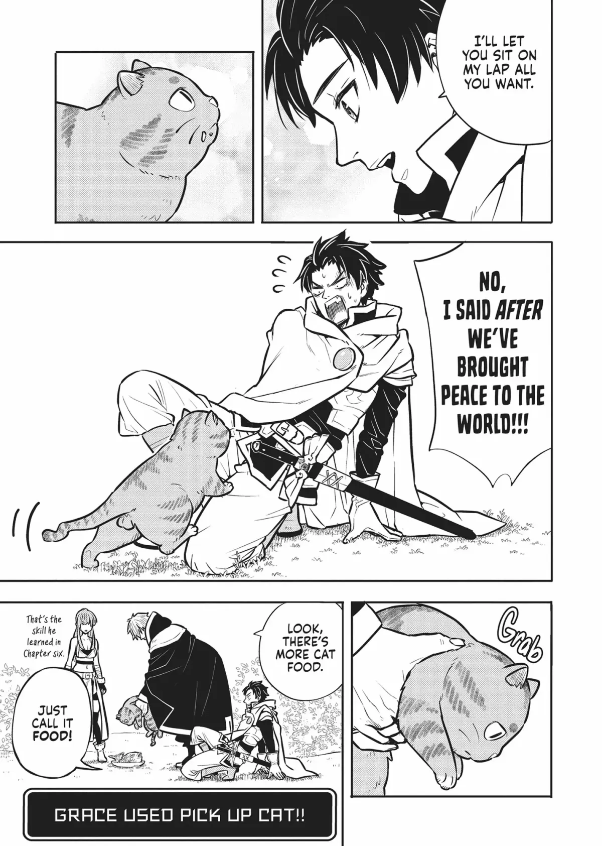Cat on the Hero