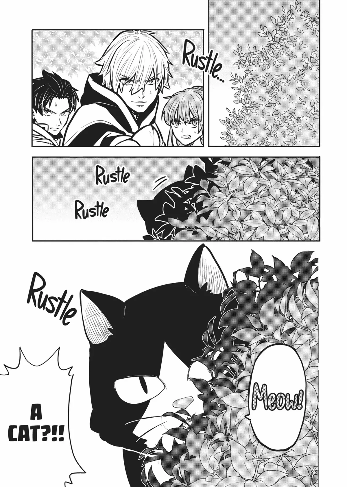 Cat on the Hero