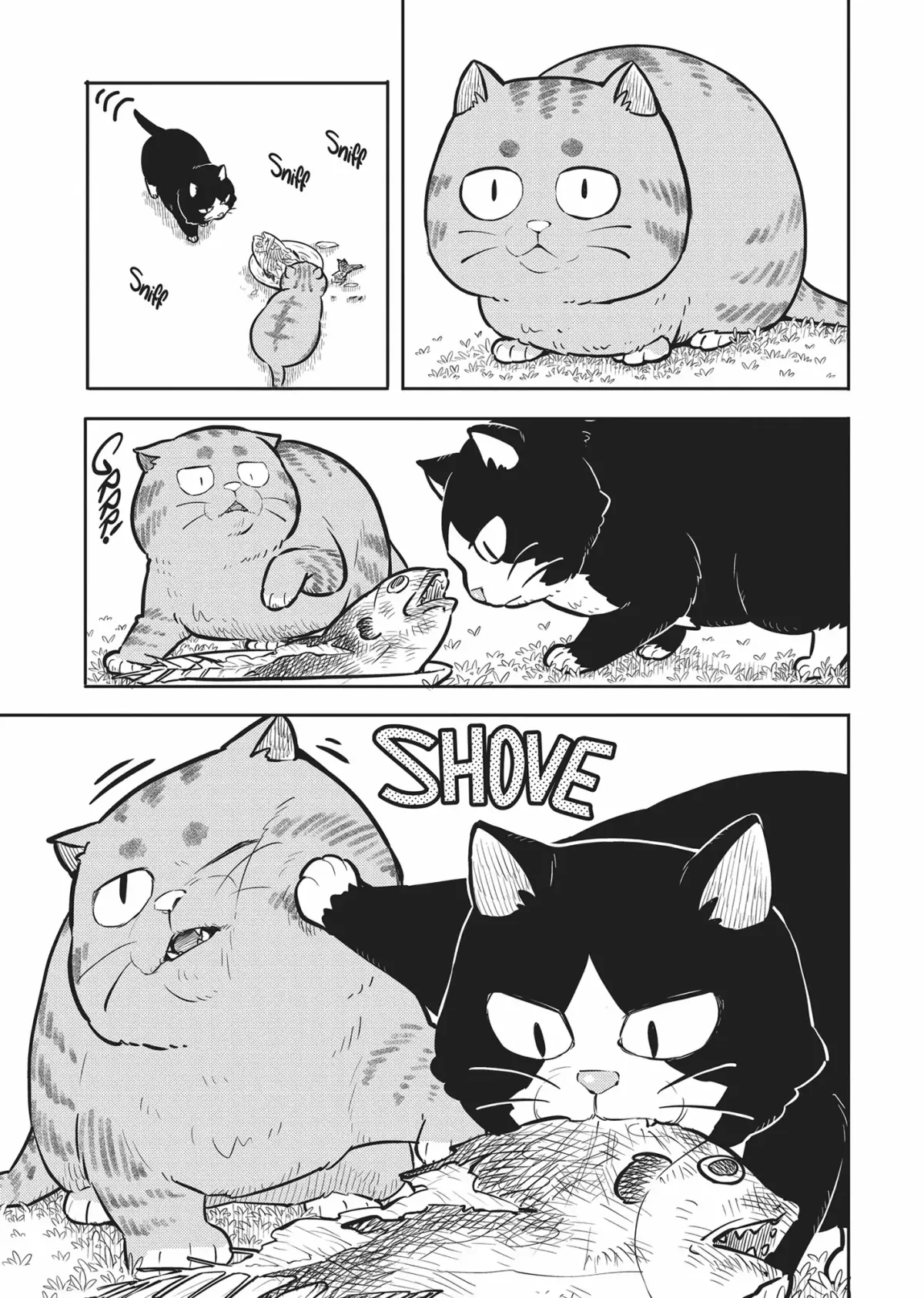 Cat on the Hero