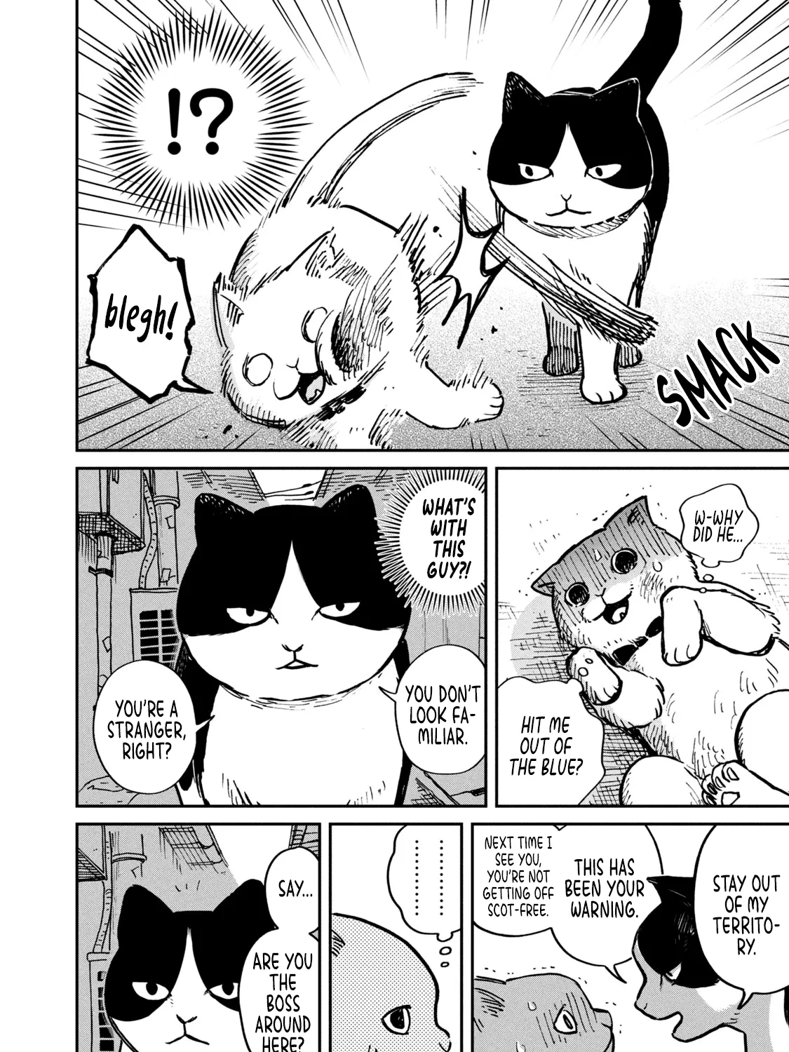 Cat Partners: Maruru And Hachi Chapter 1 page 12 - 