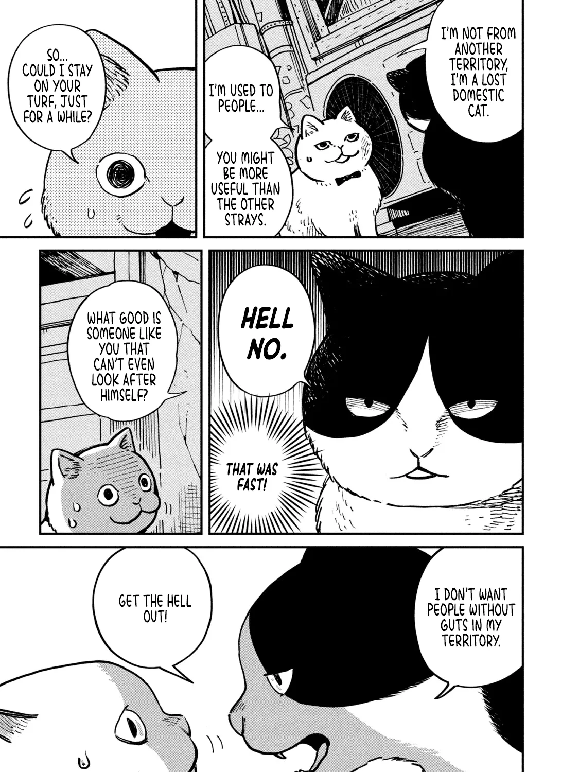 Cat Partners: Maruru And Hachi Chapter 1 page 14 - 