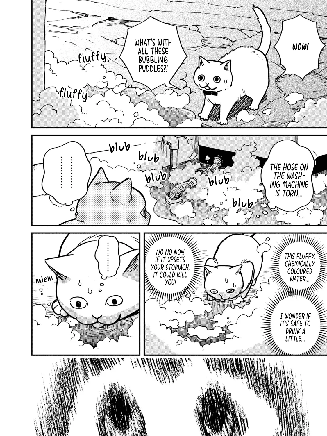 Cat Partners: Maruru And Hachi Chapter 1 page 20 - 