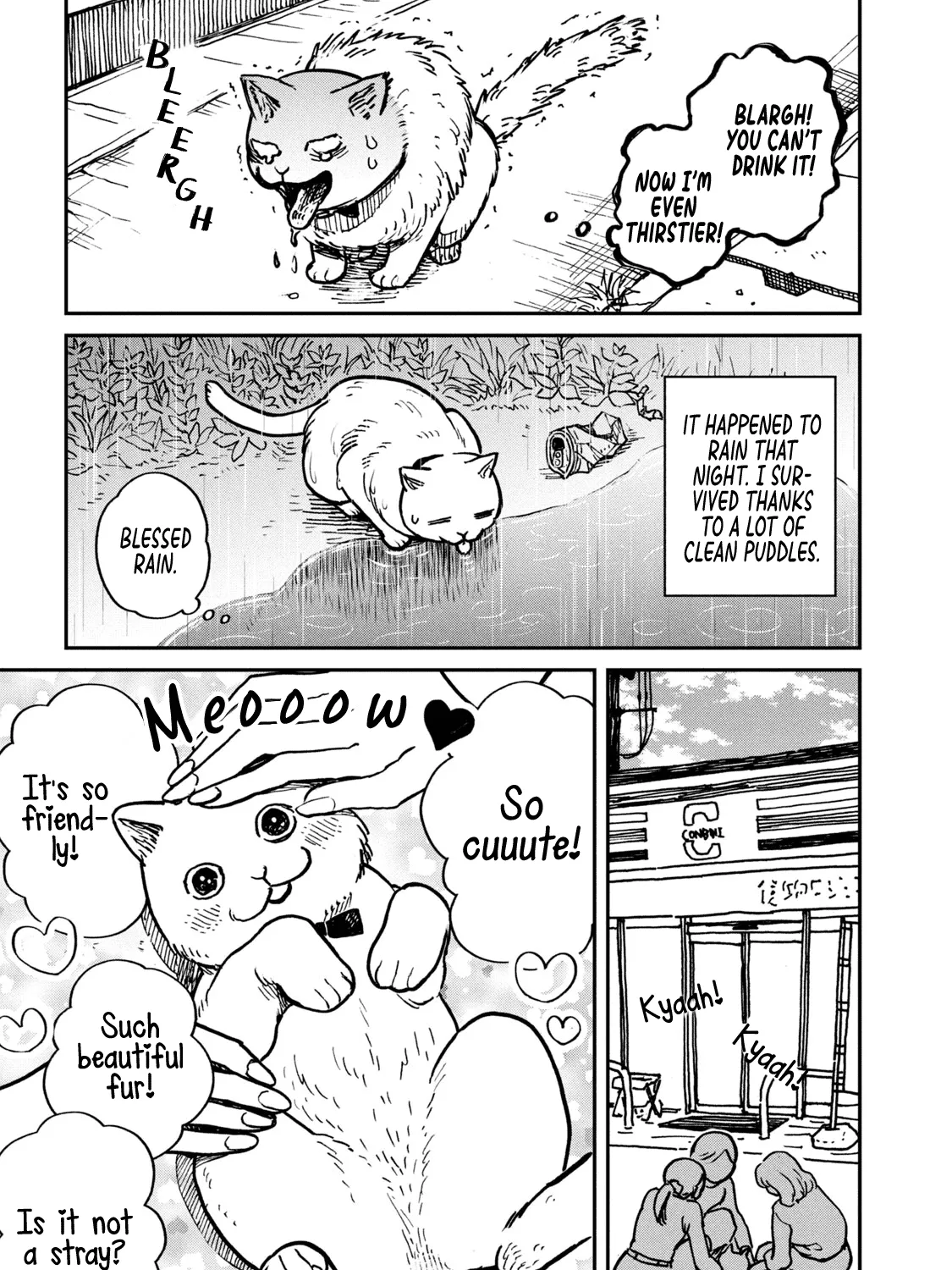 Cat Partners: Maruru And Hachi Chapter 1 page 22 - 