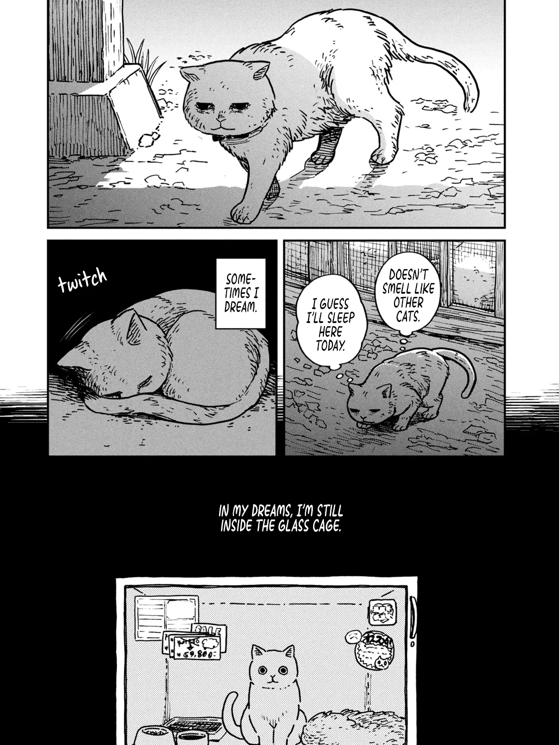 Cat Partners: Maruru And Hachi Chapter 1 page 26 - 