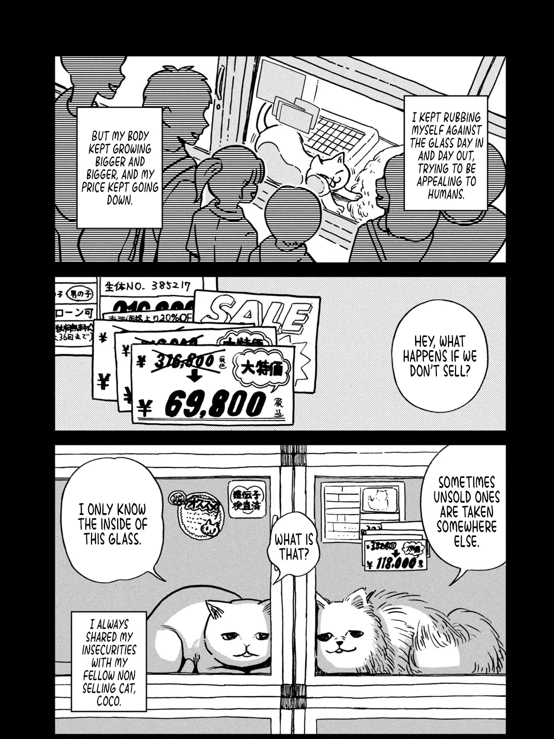 Cat Partners: Maruru And Hachi Chapter 1 page 28 - 