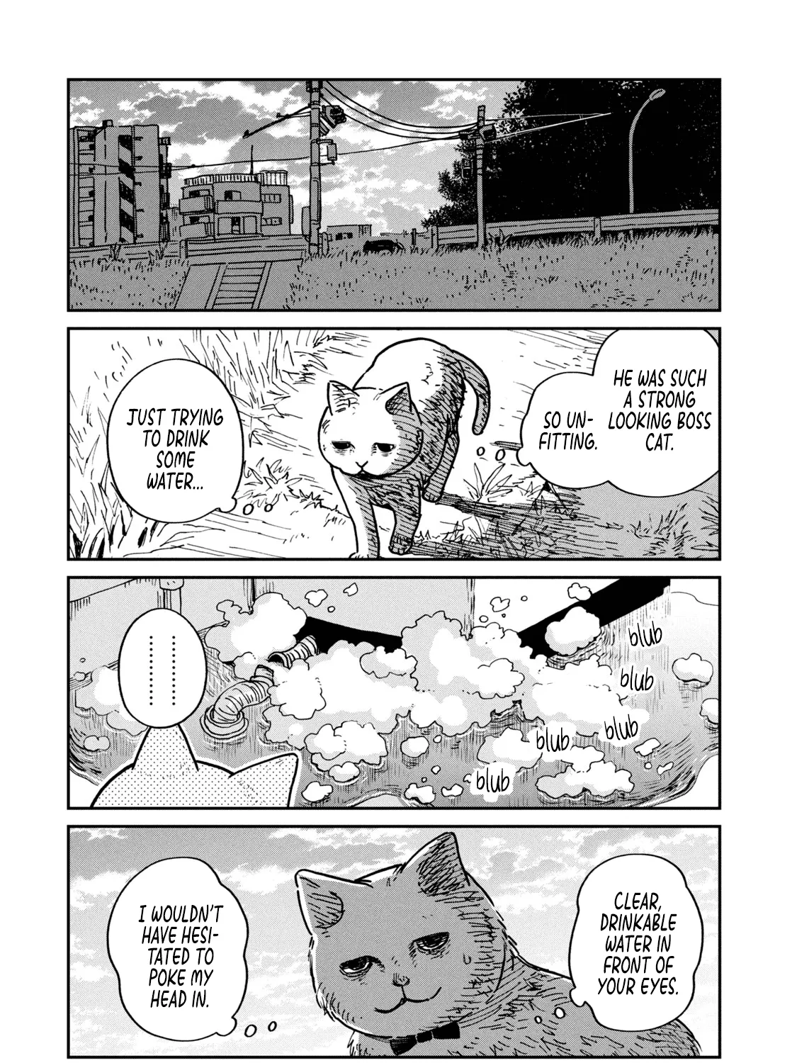 Cat Partners: Maruru And Hachi Chapter 1 page 46 - 