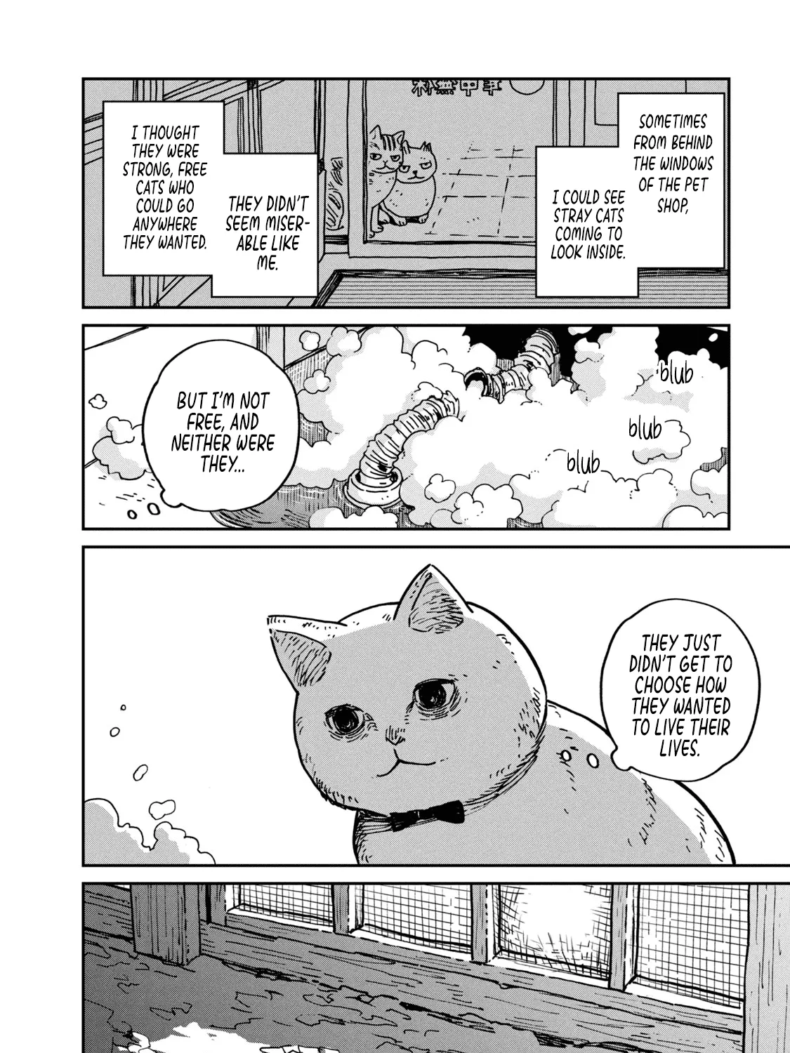 Cat Partners: Maruru And Hachi Chapter 1 page 48 - 
