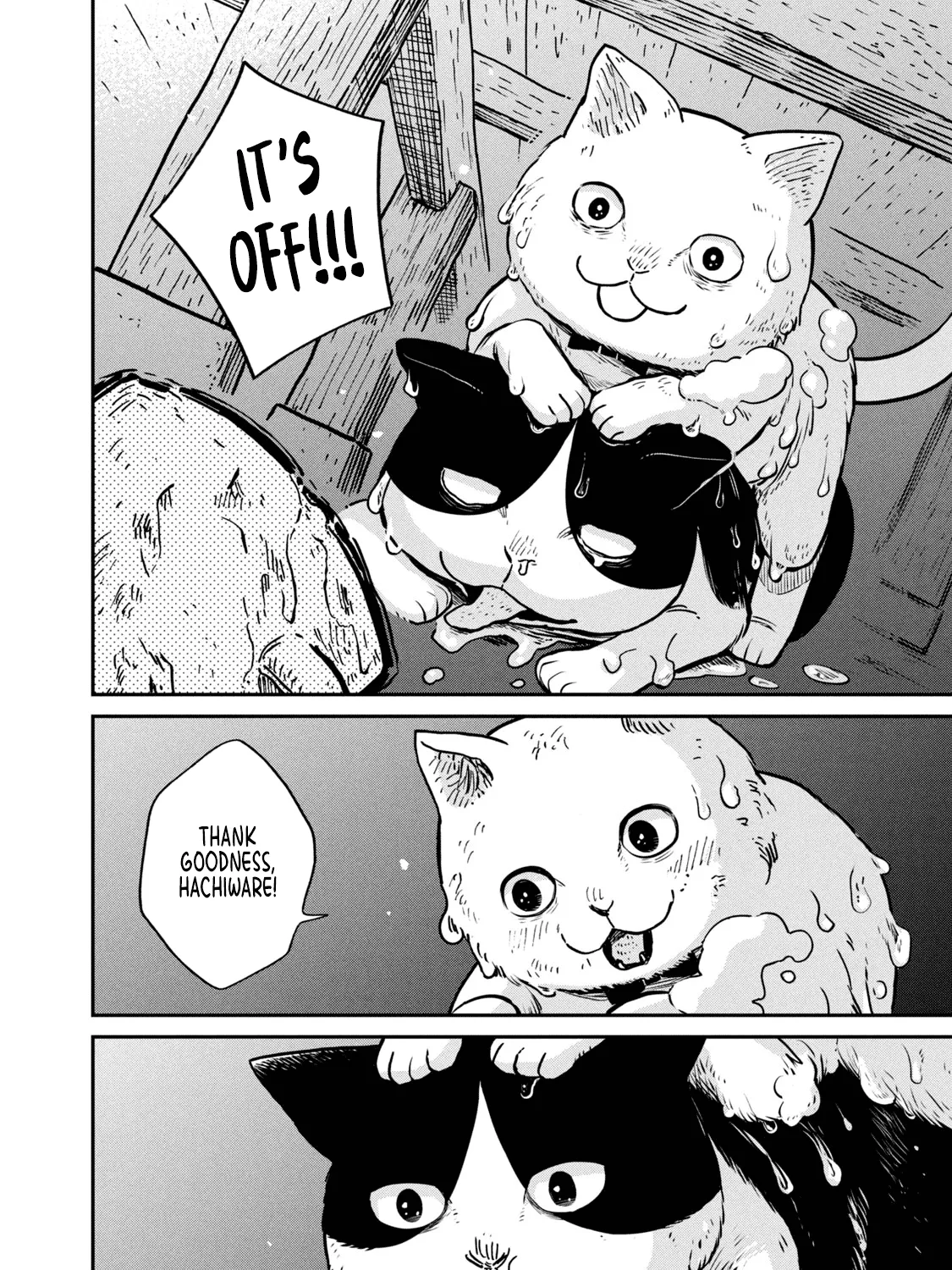 Cat Partners: Maruru And Hachi Chapter 1 page 60 - 