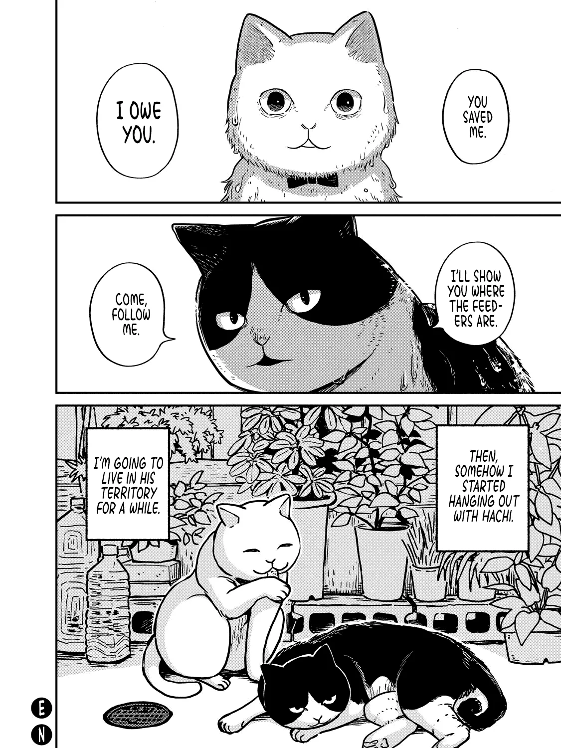 Cat Partners: Maruru And Hachi Chapter 1 page 64 - 