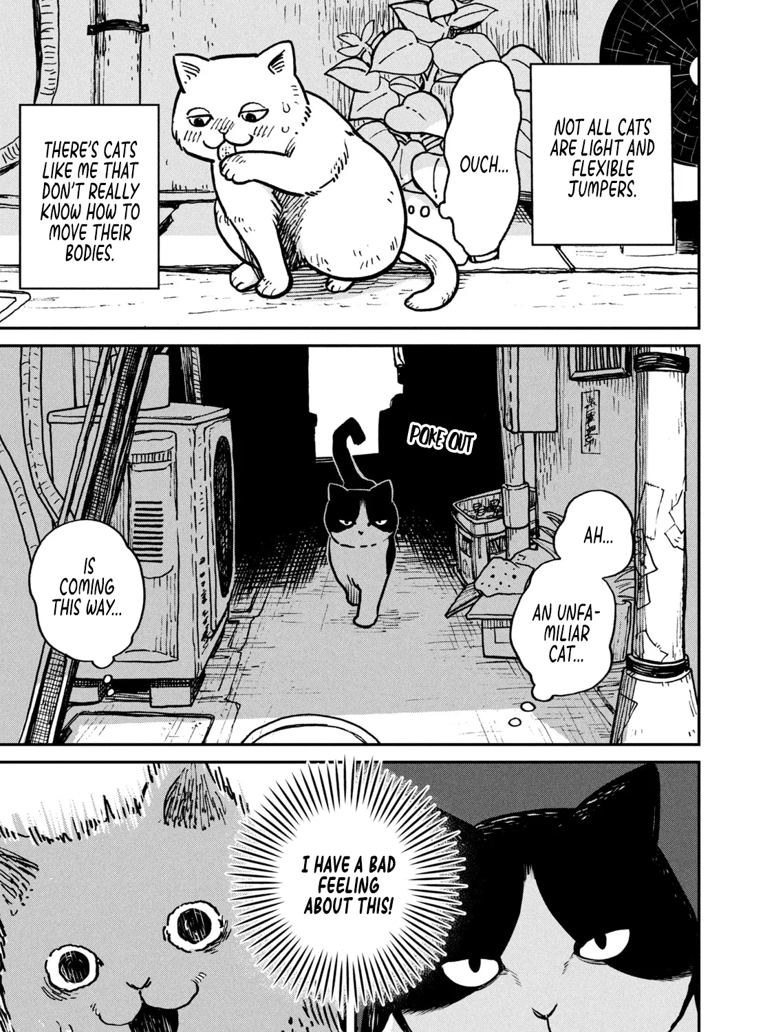 Cat Partners: Maruru And Hachi Chapter 1 page 10 - 