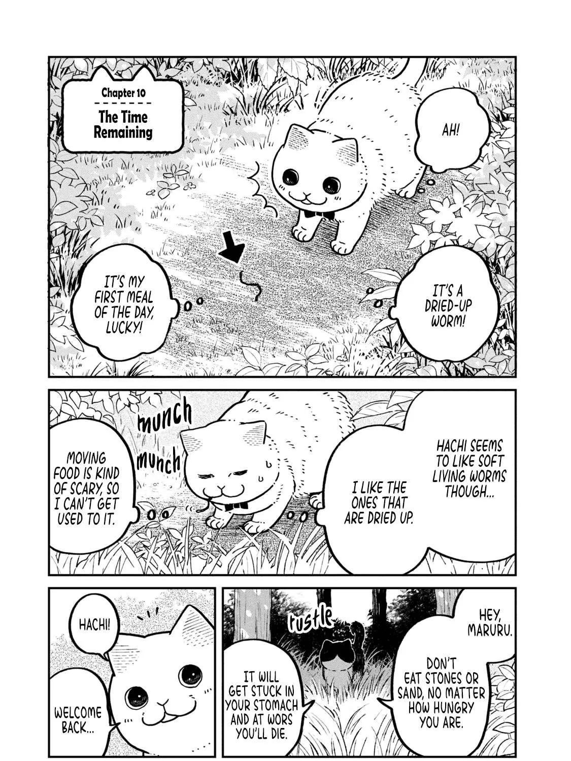 Cat Partners: Maruru And Hachi Chapter 10 page 2 - 