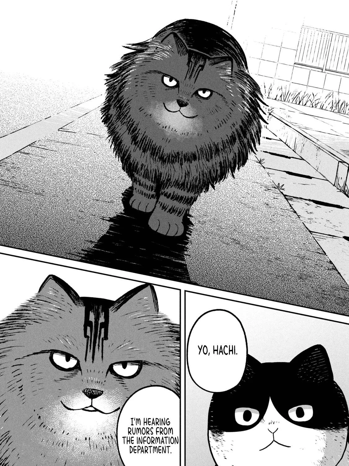 Cat Partners: Maruru And Hachi Chapter 10 page 16 - 