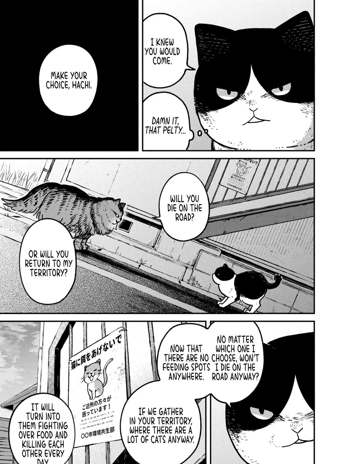 Cat Partners: Maruru And Hachi Chapter 10 page 18 - 