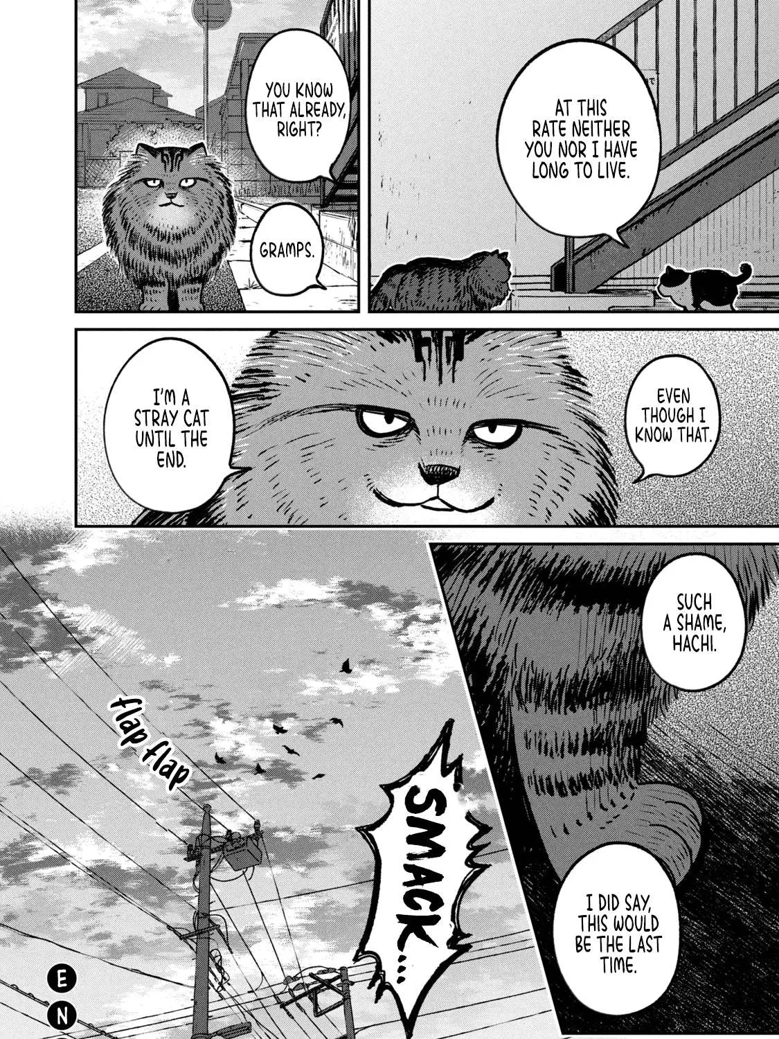 Cat Partners: Maruru And Hachi Chapter 10 page 20 - 