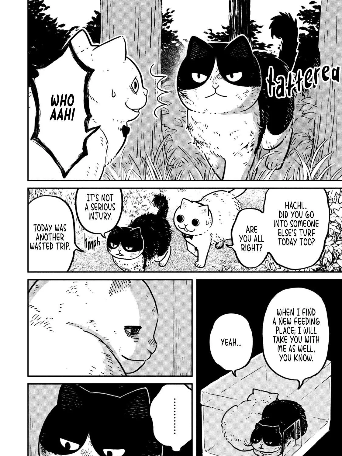 Cat Partners: Maruru And Hachi Chapter 10 page 4 - 