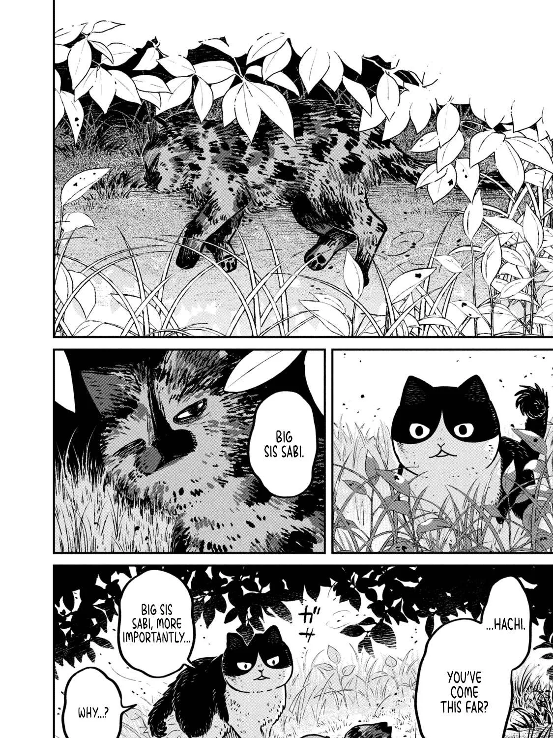 Cat Partners: Maruru And Hachi Chapter 10 page 8 - 