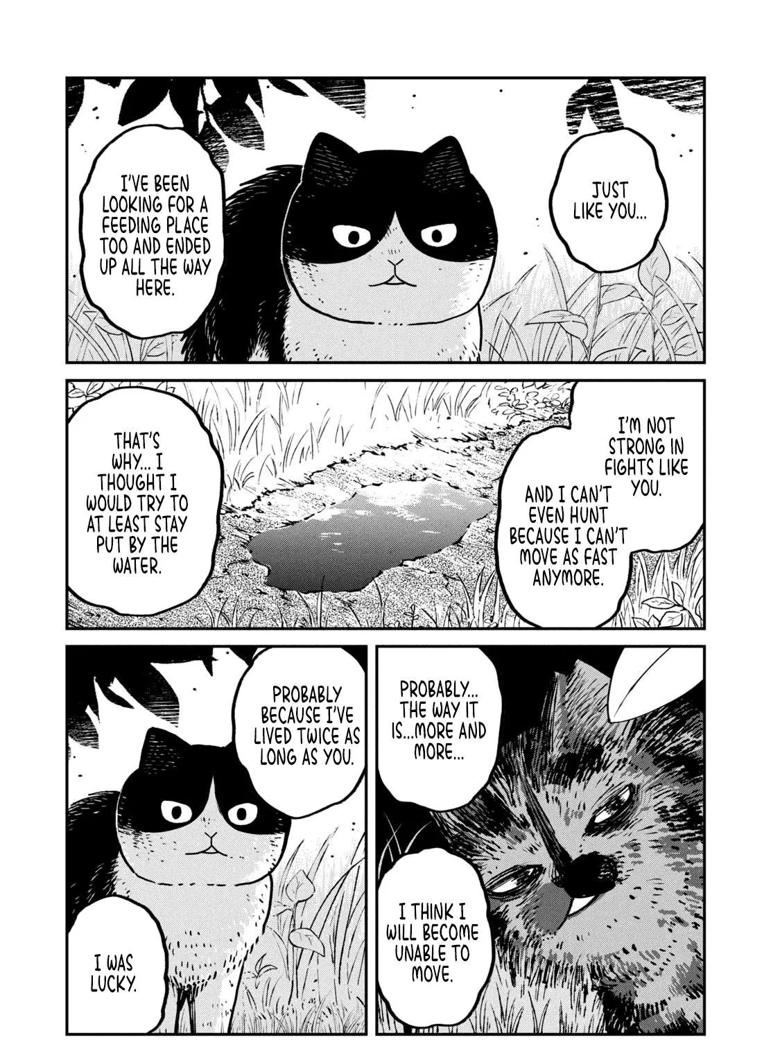Cat Partners: Maruru And Hachi Chapter 10 page 10 - 