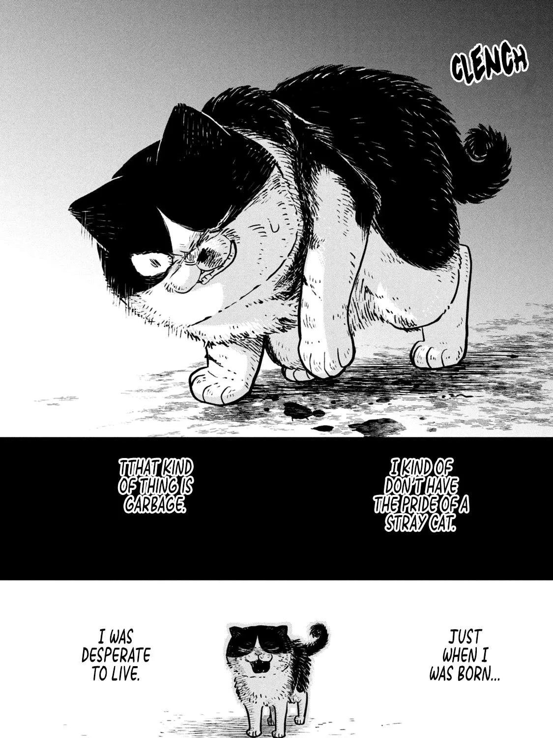 Cat Partners: Maruru And Hachi Chapter 11 page 13 - 