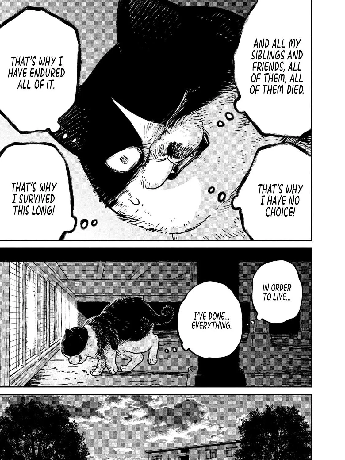 Cat Partners: Maruru And Hachi Chapter 11 page 15 - 