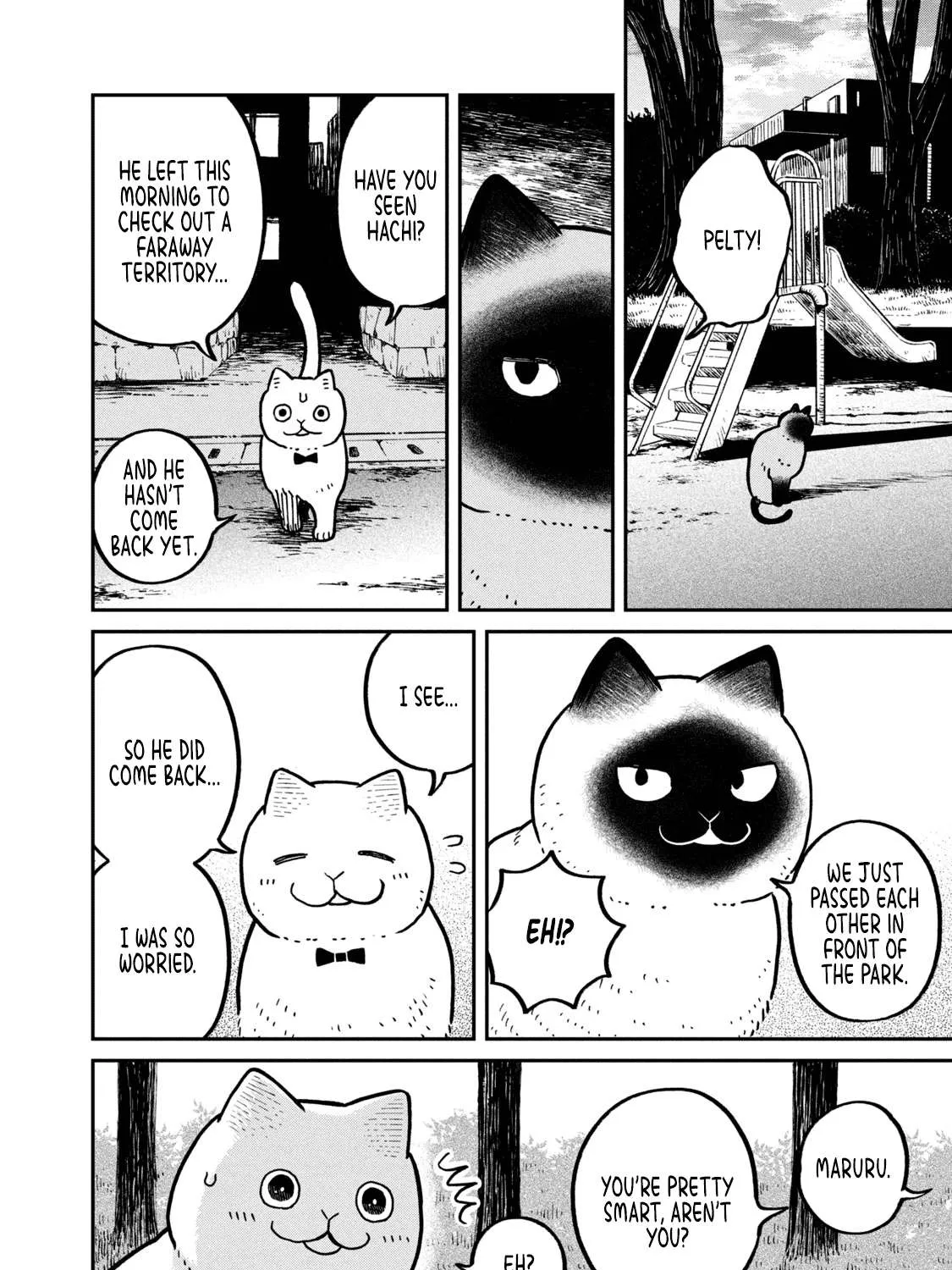 Cat Partners: Maruru And Hachi Chapter 11 page 17 - 
