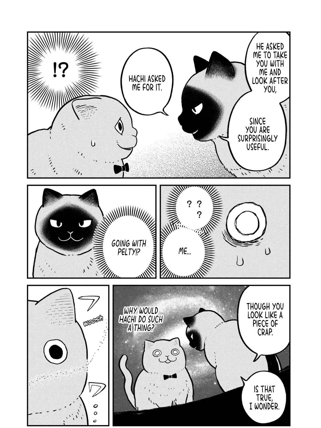 Cat Partners: Maruru And Hachi Chapter 11 page 19 - 