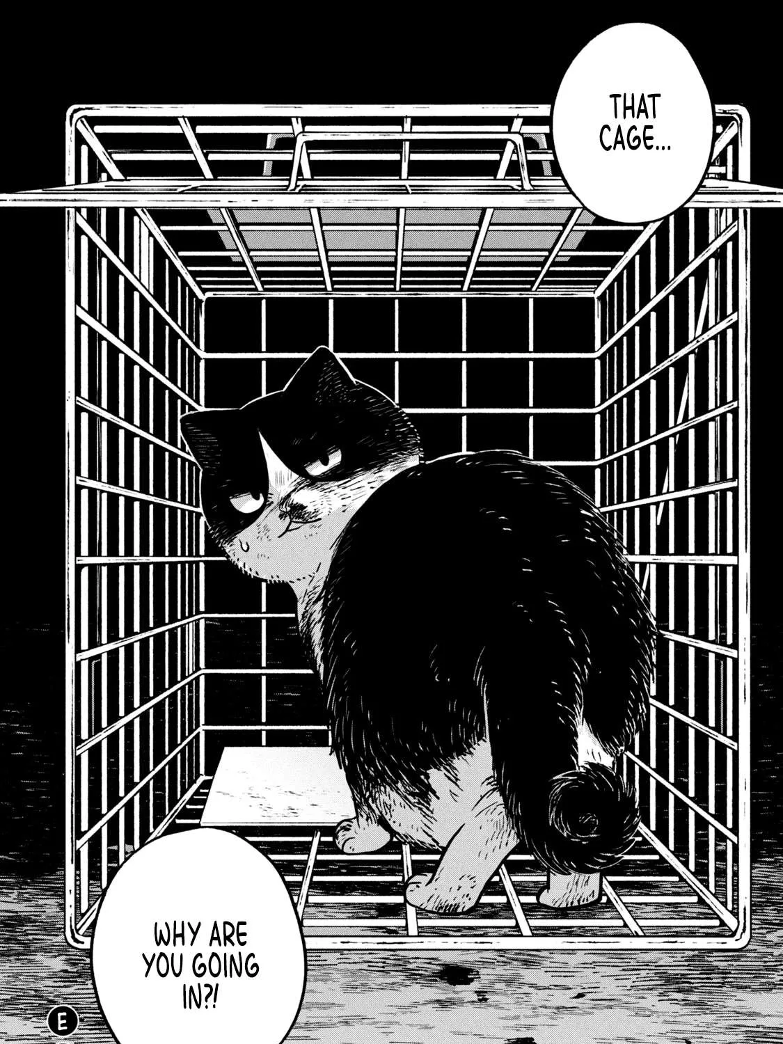 Cat Partners: Maruru And Hachi Chapter 11 page 25 - 
