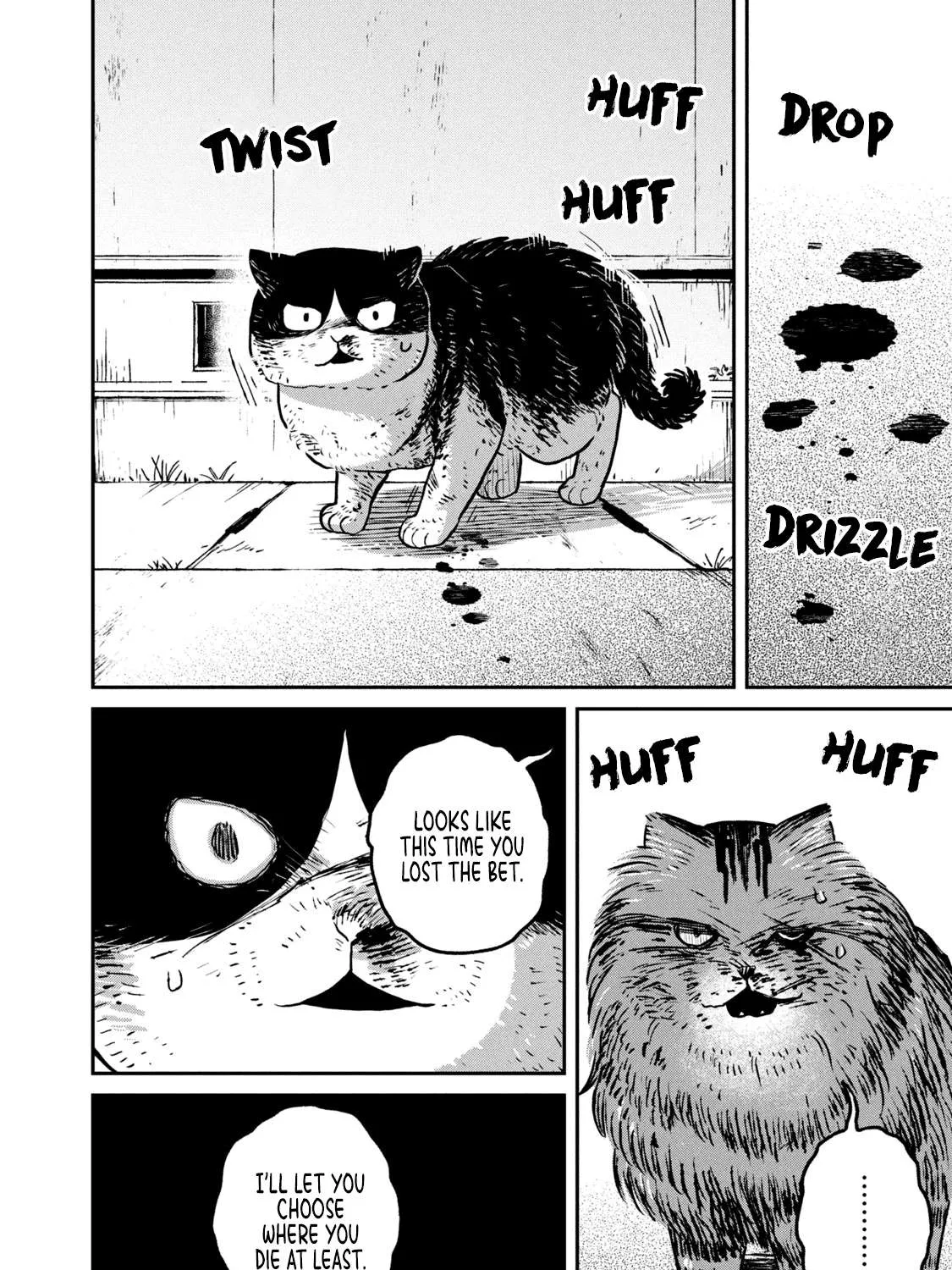 Cat Partners: Maruru And Hachi Chapter 11 page 5 - 