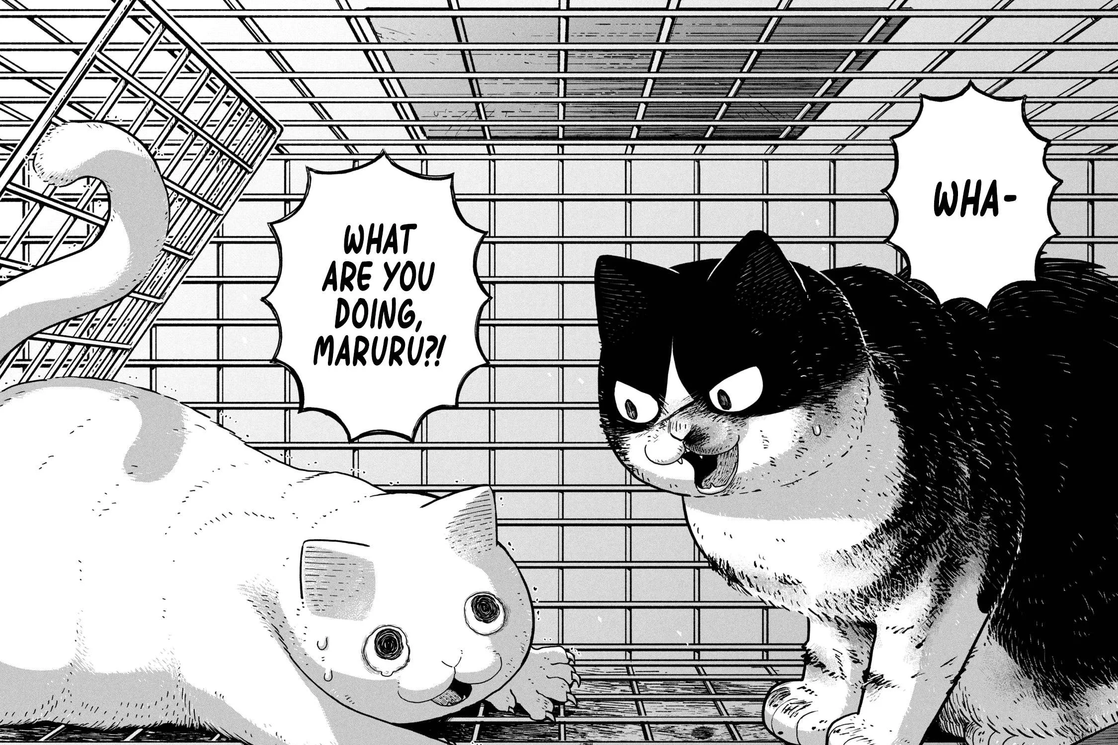 Cat Partners: Maruru And Hachi Chapter 12 page 12 - 
