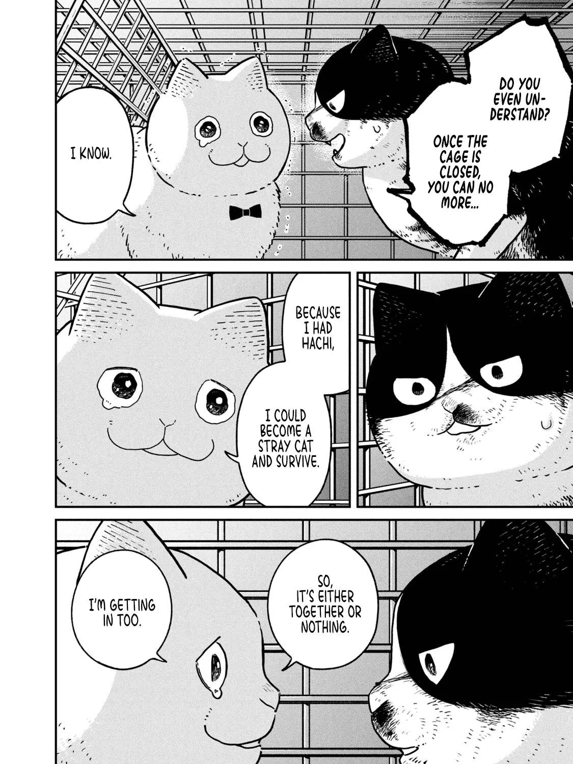 Cat Partners: Maruru And Hachi Chapter 12 page 14 - 