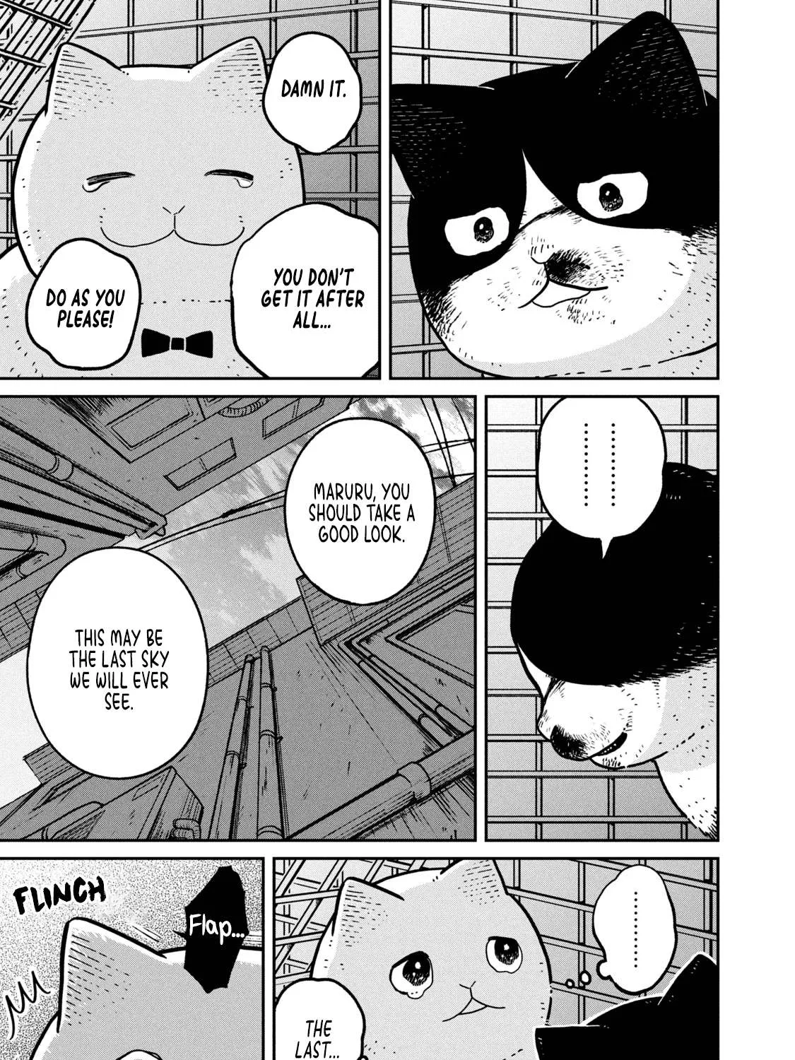 Cat Partners: Maruru And Hachi Chapter 12 page 16 - 
