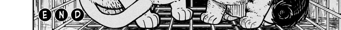 Cat Partners: Maruru And Hachi Chapter 12 page 19 - 