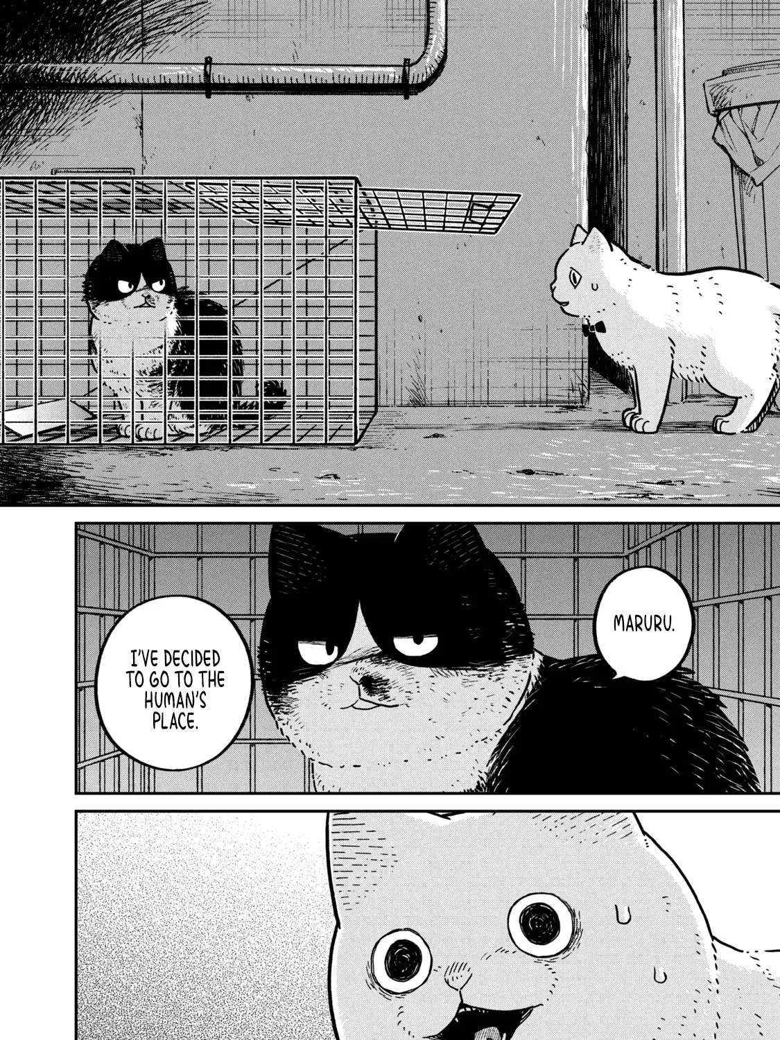 Cat Partners: Maruru And Hachi Chapter 12 page 4 - 