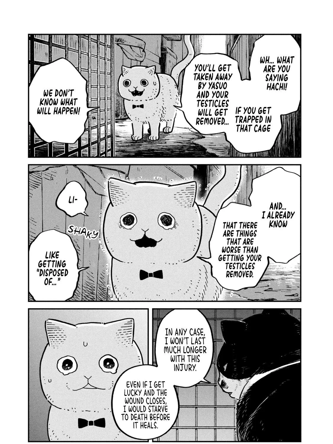 Cat Partners: Maruru And Hachi Chapter 12 page 6 - 
