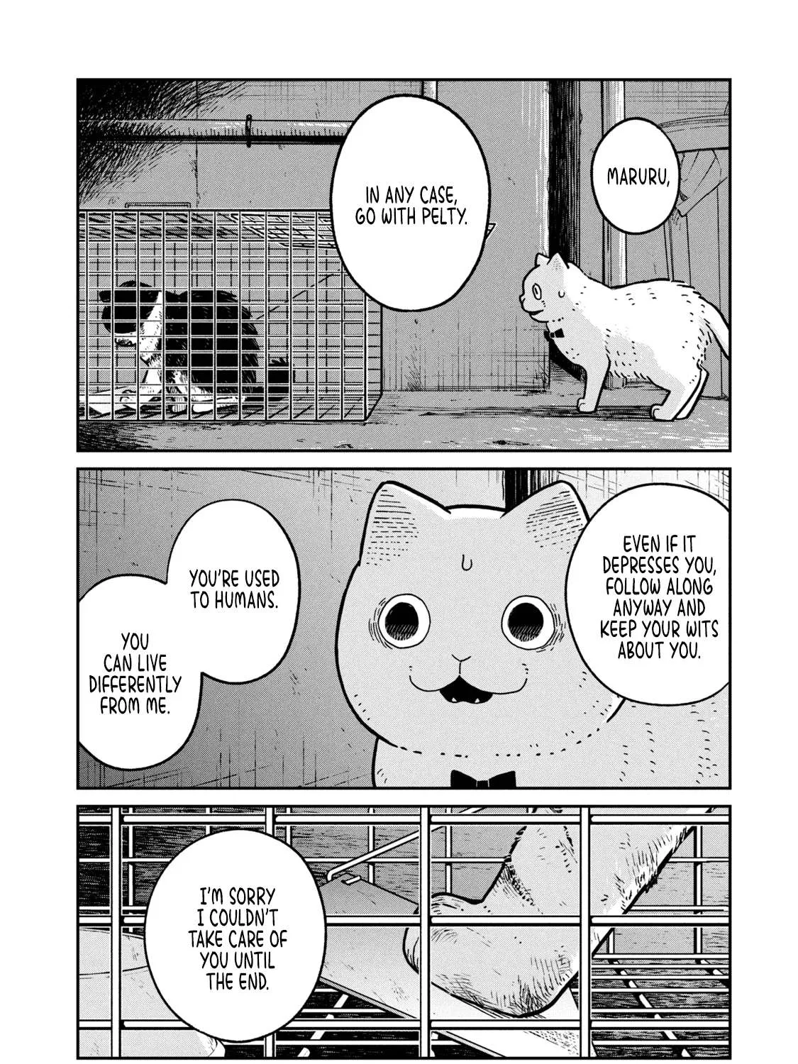 Cat Partners: Maruru And Hachi Chapter 12 page 8 - 