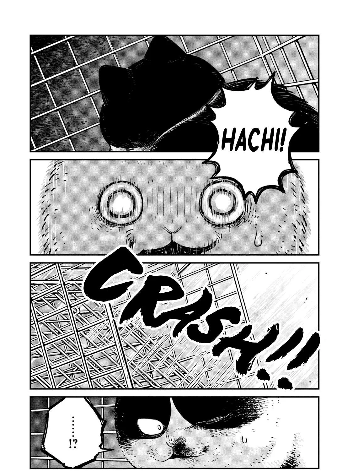 Cat Partners: Maruru And Hachi Chapter 12 page 10 - 