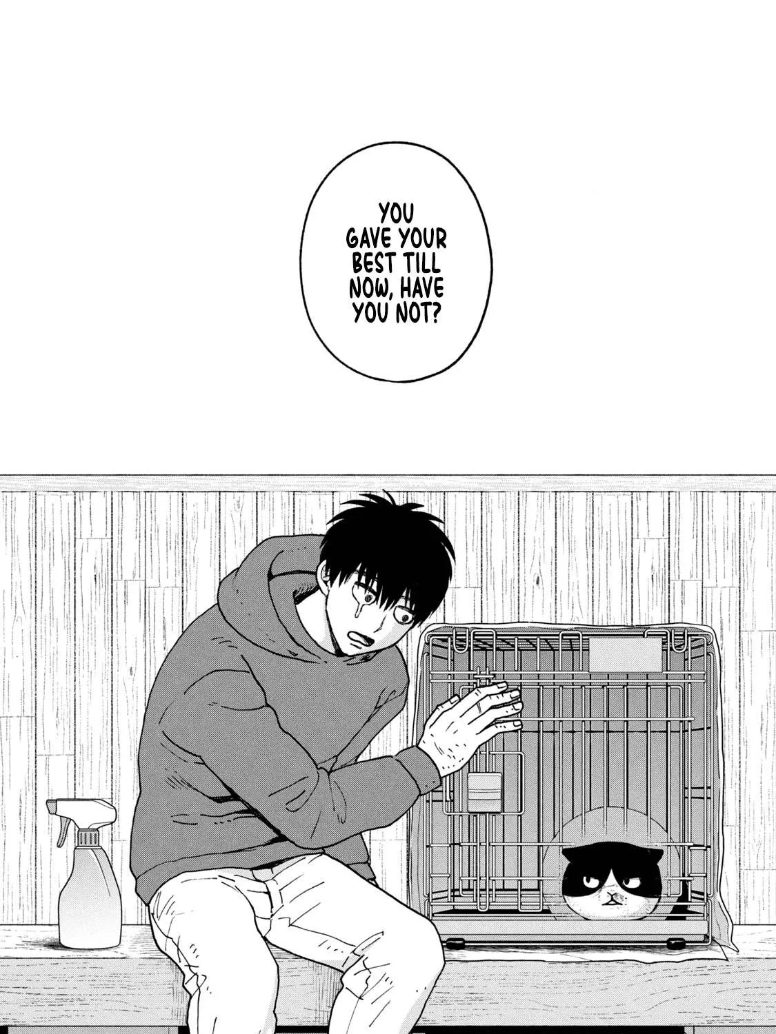 Cat Partners: Maruru And Hachi Chapter 13 page 17 - 