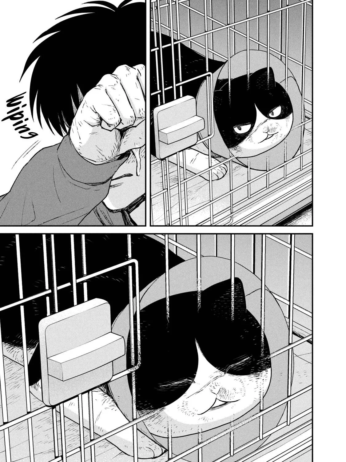 Cat Partners: Maruru And Hachi Chapter 13 page 19 - 