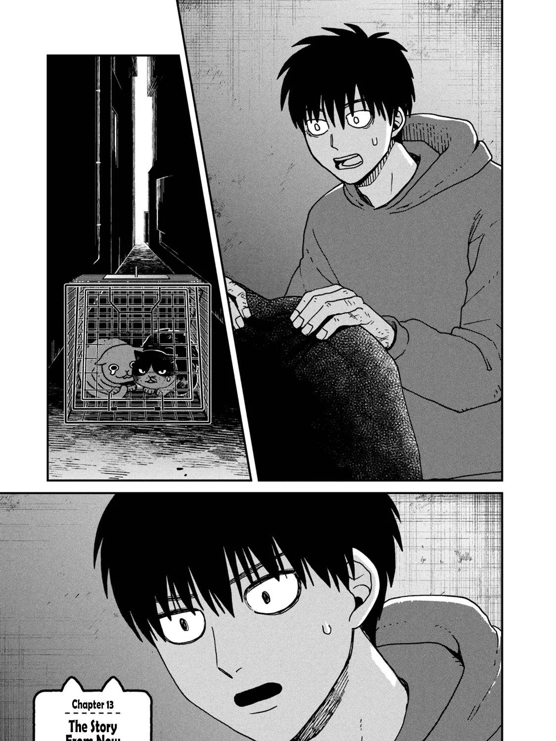Cat Partners: Maruru And Hachi Chapter 13 page 3 - 