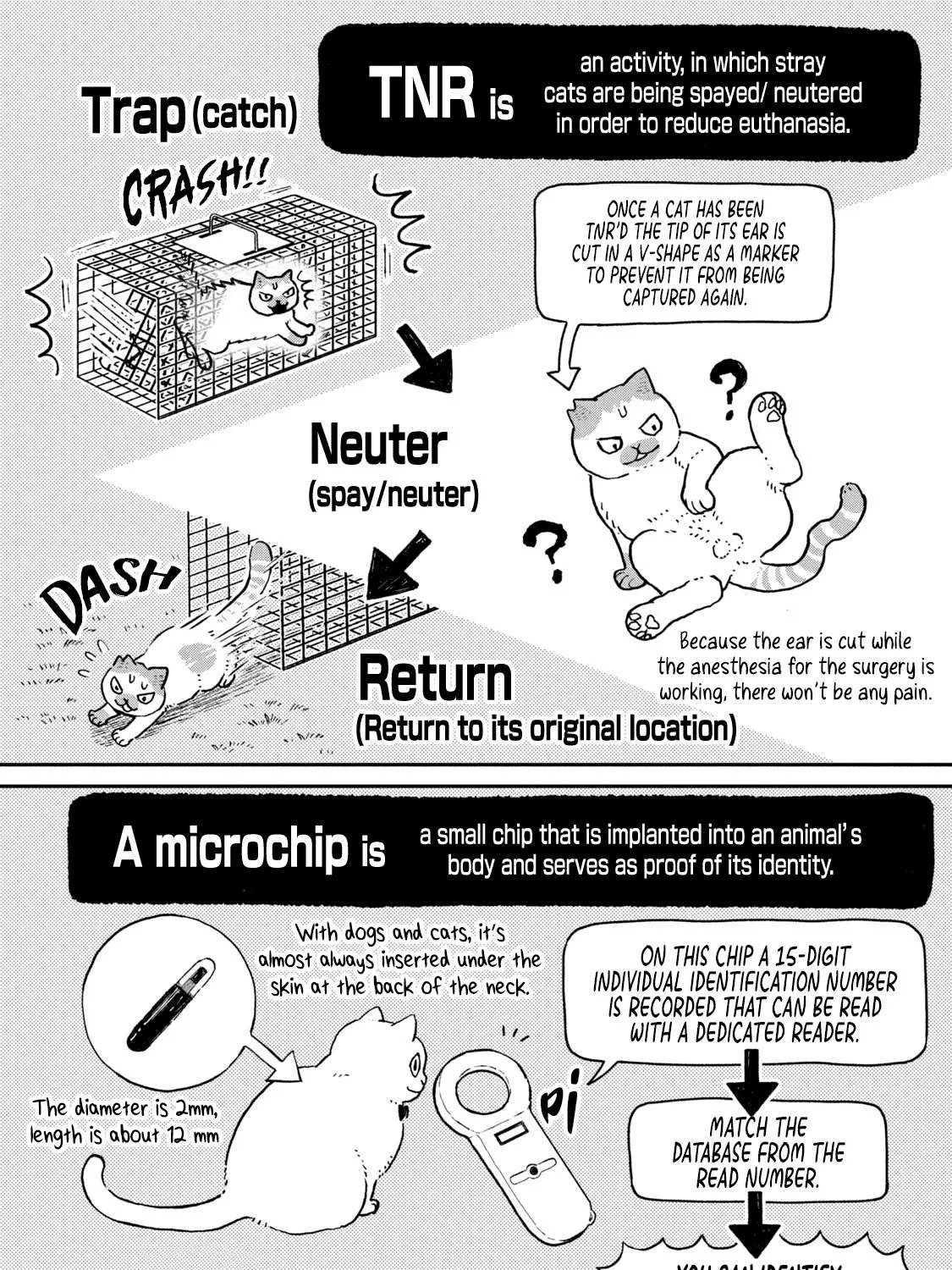 Cat Partners: Maruru And Hachi Chapter 13 page 25 - 
