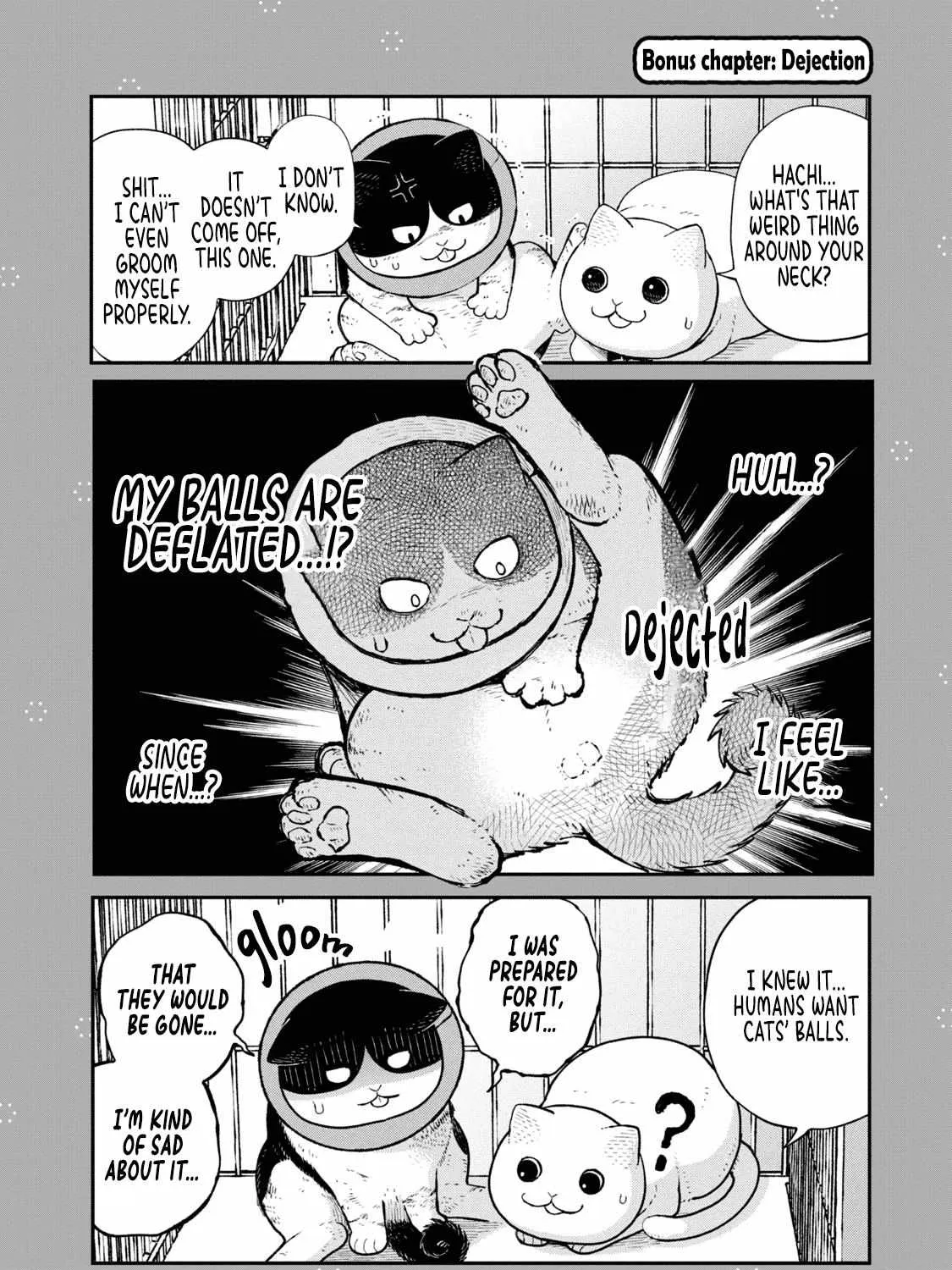 Cat Partners: Maruru And Hachi Chapter 14.1 page 2 - 