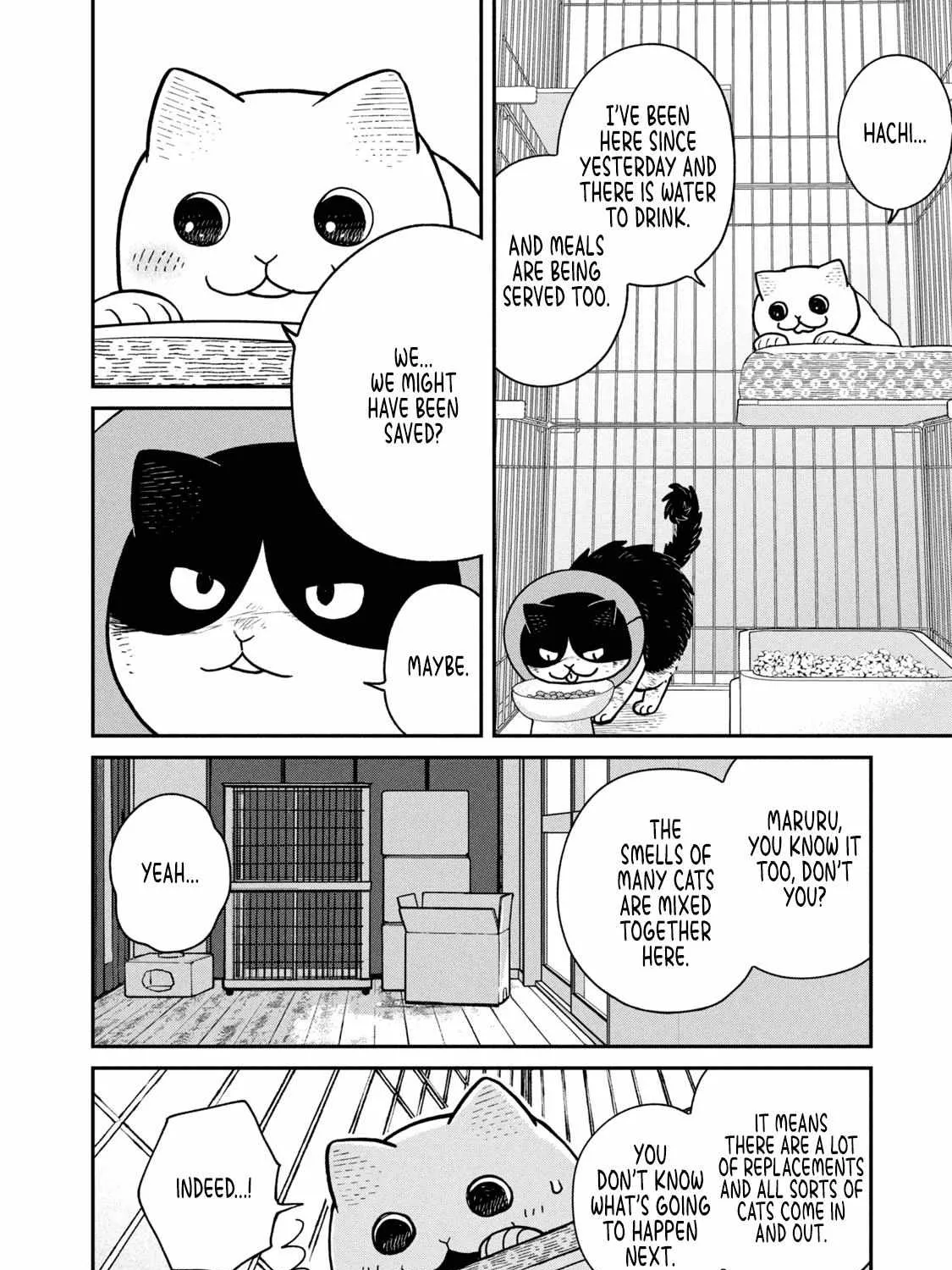 Cat Partners: Maruru And Hachi Chapter 14 page 17 - 