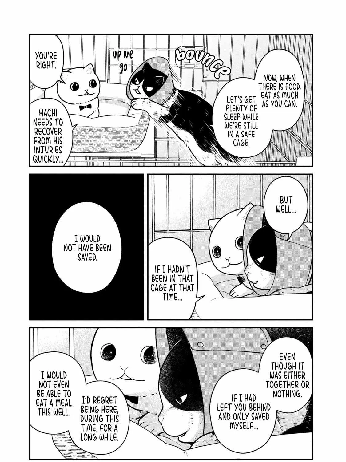 Cat Partners: Maruru And Hachi Chapter 14 page 19 - 